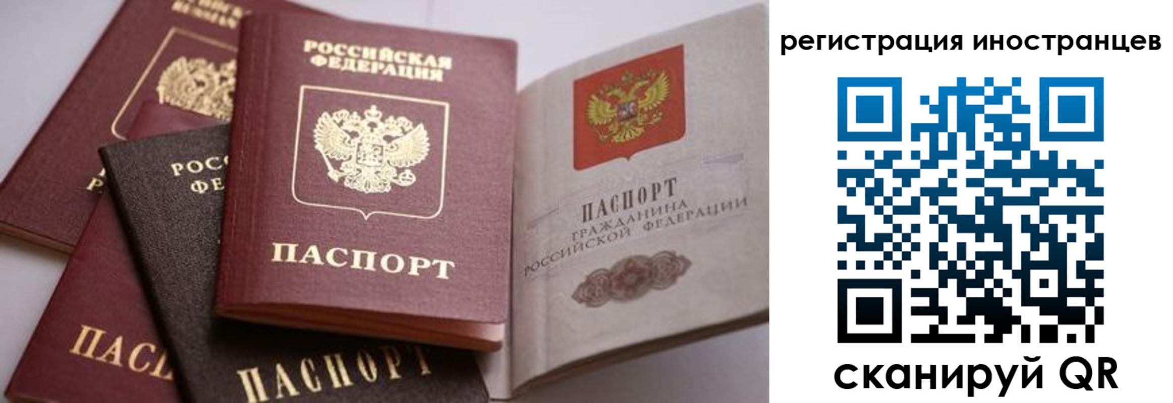 прописка штамп в Каргате