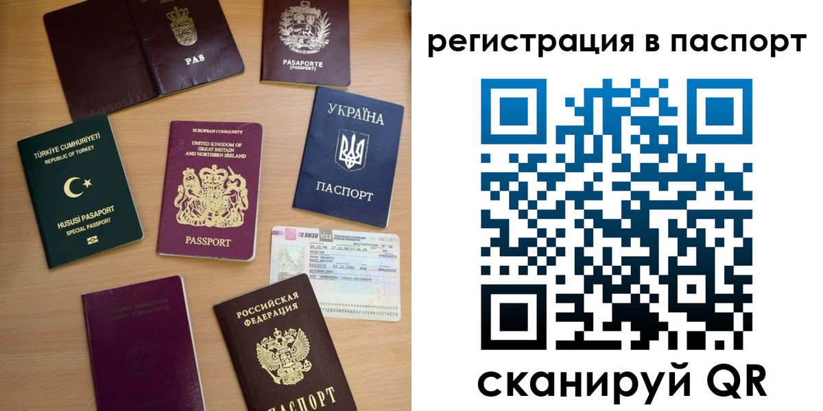 прописка поиск в Каргате